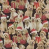 Golden Christmas DP25293-99 By Northcott Fabrics -Fabric Hub Christmas Store pid 139442 f goldenchristmas dp25293 99 8x8 1