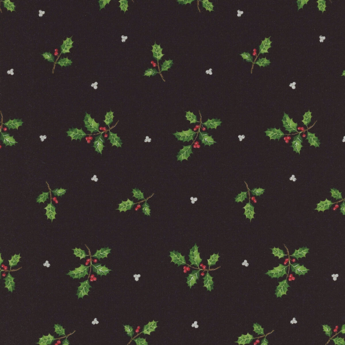 Cardinal Christmas 25483-99 By Deborah Edwards From Northcott Fabrics 3 Cardinal Christmas 25483-99 By Deborah Edwards From Northcott Fabrics